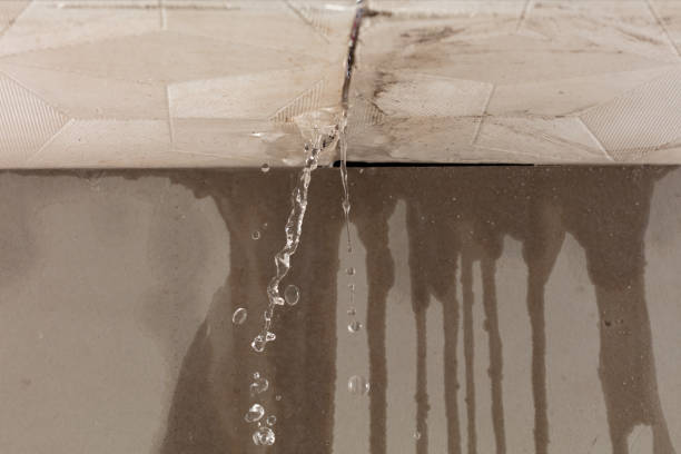 Professional Commercial Water Damage Restoration technician working in Poteet, TX